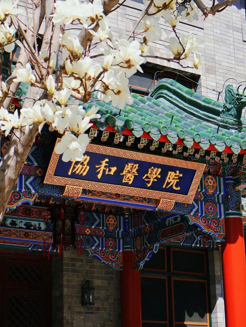 Peking Union Medical College Hospital